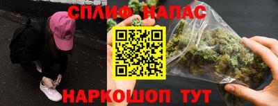 Альфа ПВП Можга