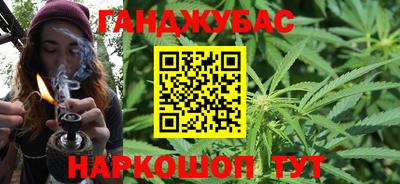Альфа ПВП Можга